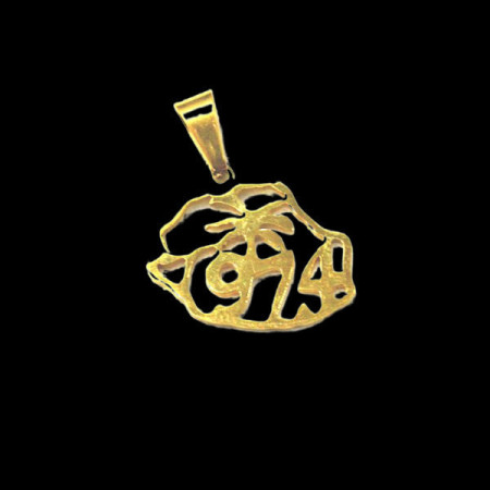 Pendentif acier carte île réunion 974