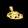 Pendentif acier carte île réunion 974