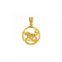 Pendentif Zodiaque Lion en Or