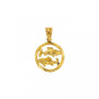 Pendentif Zodiaque Poissons en Or