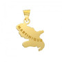 Pendentif carte Martinique Or