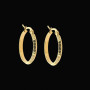 Boucles d'Oreilles Créoles Acier