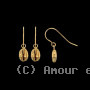 Boucles oreilles coquillage Cauri en Or