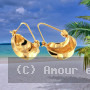 Boucles d'oreilles Carambole Plaqué Or