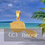 Pendentif Carte Tahiti Plaqué Or