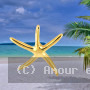 Pendentif Etoile de Mer GM Plaqué Or