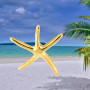 Pendentif Etoile de Mer GM Plaqué Or