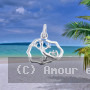 Pendentif Margouillat Réunion Argent