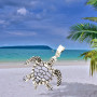Pendentif Tortue de Mer Argent