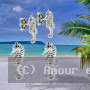 Boucles d'oreilles Hippocampe
