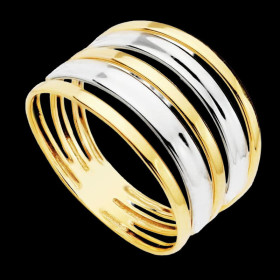 Bague 2 Ors Bicolore 18 Carats