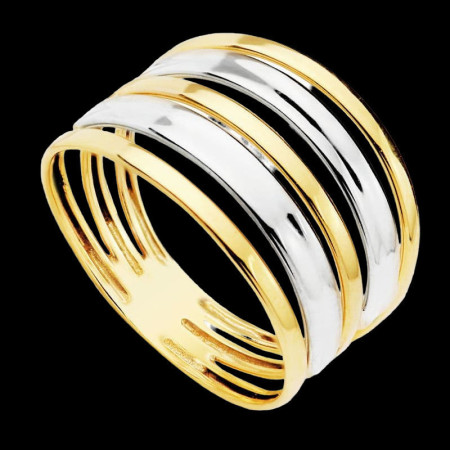 Bague 2 Ors Bicolore 18 Carats