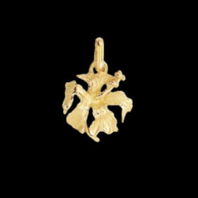 Pendentif Hibiscus Or