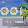 Boucles d'oreille fleur de pavot Argent