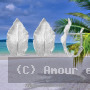 Boucles d'oreille feuilles de Banane Argent