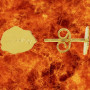 Boucles d'oreilles carte de la Réunion Or