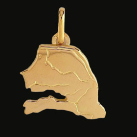 Pendentif Carte Sénégal Or Jaune