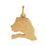 Pendentif Carte Sénégal Or Jaune