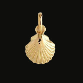 Pendentif Coquille océan indien Or Jaune