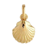 Pendentif Coquille océan indien Or Jaune