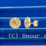 Boucles d'oreilles Zircons Couleurs Astrid Or