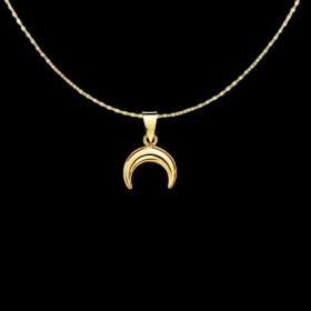 Pendentif Chaine Mini Corne Brillant Or