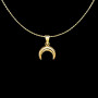 Pendentif Chaine Mini Corne Brillant Or