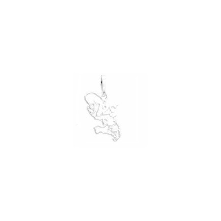 Pendentif 97. Carte des iles Argent