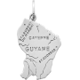 Pendentif Carte de la Guyane Argent