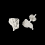 Boucle d'oreilles Guyane Argent