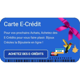 E-Crédit 100