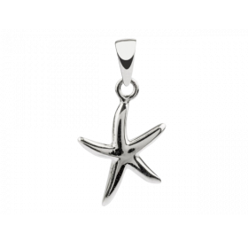 Pendentif Etoile de mer