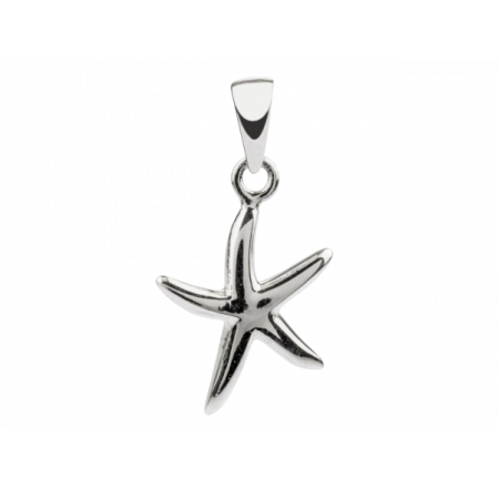 Pendentif Etoile de mer