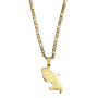 Collier et pendentif acier Carte Martinique