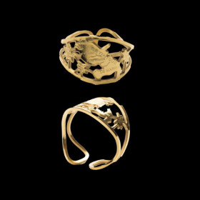 Bague Acier Inoxydable Carte de la Martinique