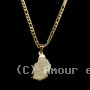 Collier et pendentif acier Carte Maurice