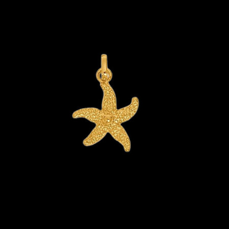 Pendentif Or étoile de Mer