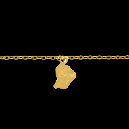 Chaine de cheville carte de la Guyane