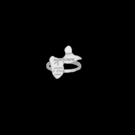 Bague Carte des iles Francophone Argent