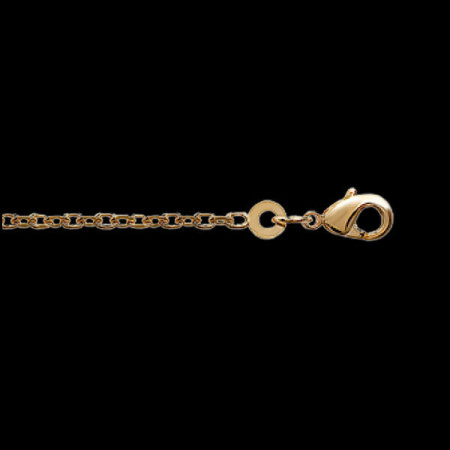 Chaîne Plaqué or Maille Forçat